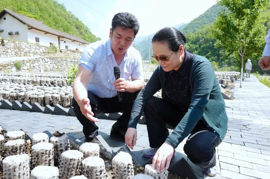 鍥撅細(xì)鍦ㄤ咕浣戣閬撹濺瀹舵渤鏉戯紝璧甸洴涓？瀵熺湅鏉戦噷鐨勬湪鑰崇妞嶅熀鍦般？